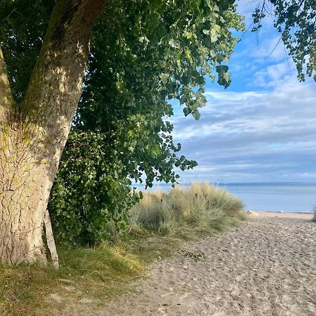 Feriendorf Suedstrand Haus 40 Pelzerhaken Dış mekan fotoğraf